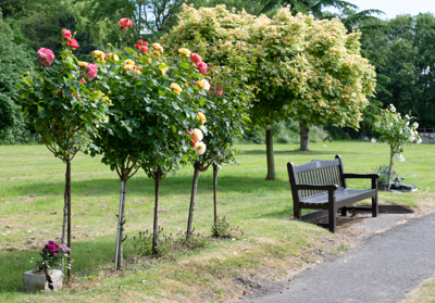 View of the Cemetery in Sandiacre